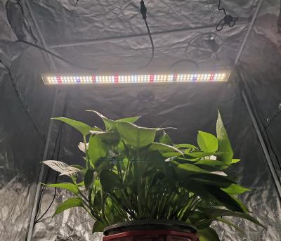 China FLOWER Yastar Single Bar 30W 80W UV Led For Growing Light Strips for sale