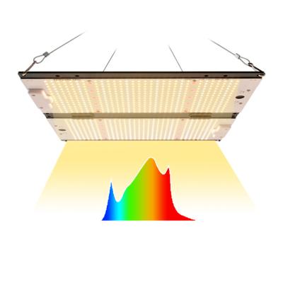 China FLOWER 300W Yastar Full Spectrum Plant Grow Light Samsung LM301H LM301B PCB Board Led Light for sale