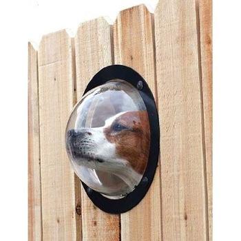 China Transparent Viable Half Round Dog Acrylic Window Pets Peek Organic Glass Window Clear Acrylic Fence for sale