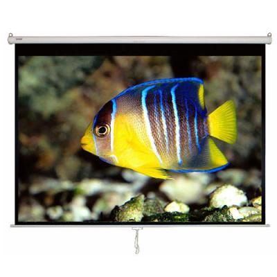 China 70 Inch Manual Pull Down Projection Screen With Matte White Fabric Wall Mounted Projector Screen for sale