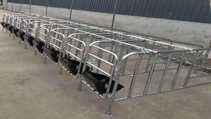 Verified China supplier - Qingdao Ruihong Fengmao Animal Husbandry Equipment Co., Ltd.