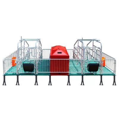 China Large Easy Clean Pig/Nursery/Gestation Box Garbage Project for sale