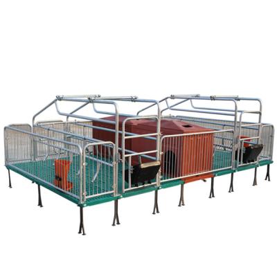 China High corrosion resistance piggery farm equipment galvanized pig farrowing crates / pig farrowing pens for sale for sale