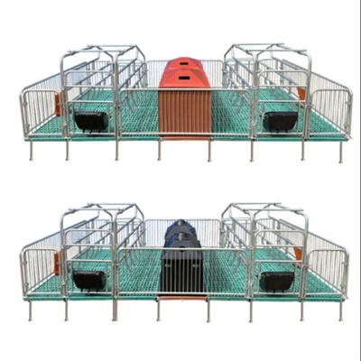 China Sow farrowing animal cages farrowing crates for pig feeding system sow cages a cage used by sows for farrowing for sale