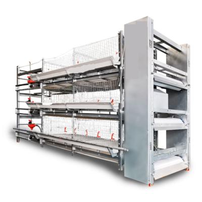 China Automatic Poultry Field Poultry Equipment Chicken Farm Broiler Cage For Sale for sale