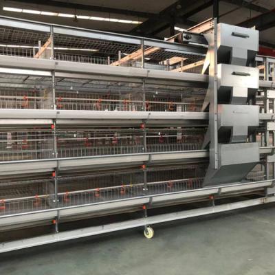 China High quality field H type poultry chicken cages egg layer quail cages for sale chicken layer cage for sale