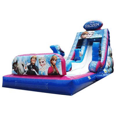 China Waterproof Commercial Frozen Inflatable Water Slide, Ice Water Slide With Pool, Cartoon Inflatable Water Slide for sale