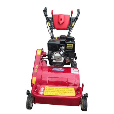 China Height Adjustable Handles Mini Gasoline Garden Machines Lawn Mower Automatic Hand Push Lawn Mower For Sale for sale