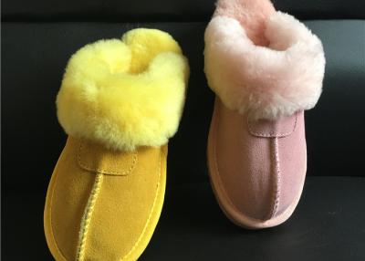 China Tan Suede Sheepskin Slippers Winter Women Cow Suede Sheepskin House Slippers for sale