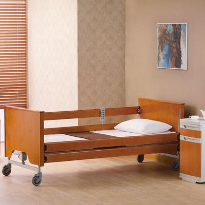 China DA-2 Five function back electric medical bed for long term care home electric hospital beds nursing bed for sale home care product for sale