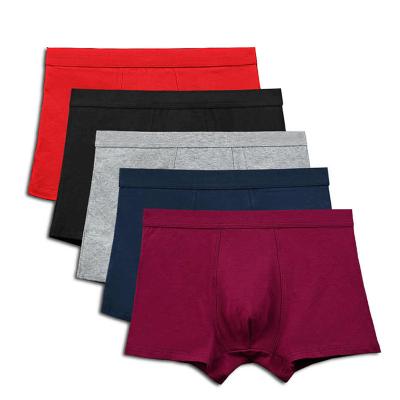 China Boxer sexy underwear men boxer stock men underwear briefs good quality men 95%cotton and 5%spandex for sale