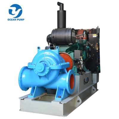 China Water Conveying Or Pressurizing Large Capacity Horizontal Split Case Pump for sale