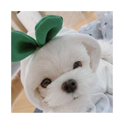 China Factory Wholesale Dog Clothes Pet Clothes Breathable Customizable Thick Pet Clothing Pet Clothes for sale