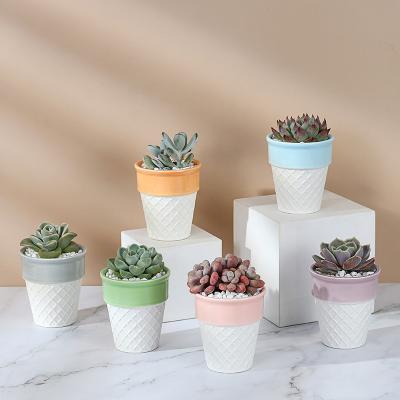 China Modern Hot Selling Mini Ice Cream Combination Potted Flower Pot for sale