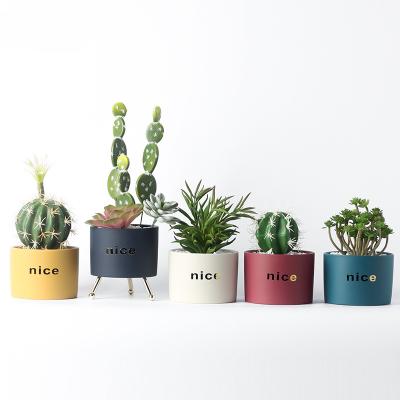 China Modern Custom Logo Succulent Planter Pot Nordic Simple Design Small Ceramic Flower Pots For Home Decor for sale