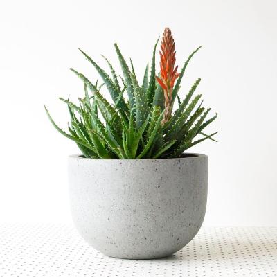 China Decoration Light Wholesale Price Cement Planter Garden Supplies Planter Succulent Flower Pot for sale