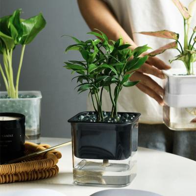 China Wholesale Clear Selfwatering Flower Planter Plastic Self Watering Pot Eco-Friendly Plant New For Indoor Plant for sale