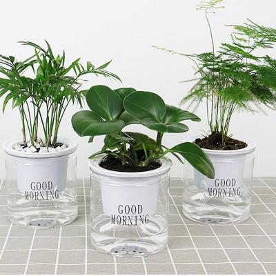 China Hot Sale Eco-friendly Flower Herb Garden Plant Pot Plastic Indoor Transparent Hydroponic Hydroponics Grow Planter for sale