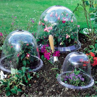 China Modern Garden Bell Dome Plant Flower Bell Covers For Seeds Decor Planting Protector Cover Plastic For Backyard Plant Cover for sale