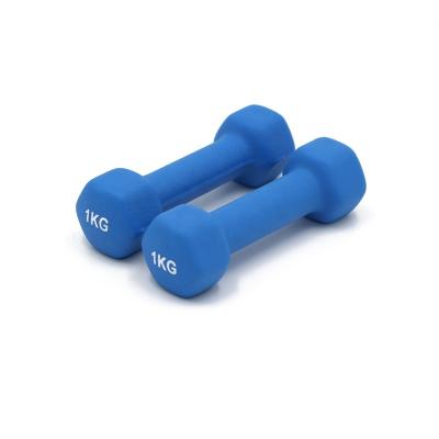 China Eco-friendly Gym Dumbbell Exercise Strength Training Different Weight Commercial Gym Hex Neoprene Dumbbell Set for sale