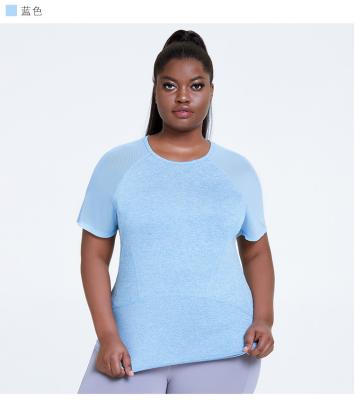 China Antibacterial Plus Size Womens Plus Size T Shirts Mesh Short Sleeve Fitness Running Shirts for sale