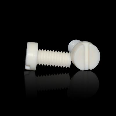 China Cheese Plastic Slotted Cheese Head Polypropylene PP Screw Plastic Bolt for sale