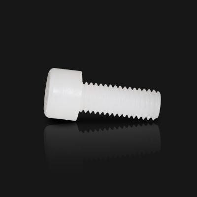 China Factory Supply Chinese Plastic Hexagon Socket Head PVDF Plastic Screw for sale