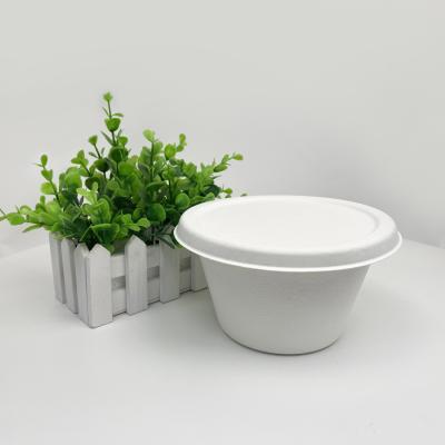 China Biodegradable Food and Beverage Slim Pack Round Biodegradable Lunch Box Bowl for sale