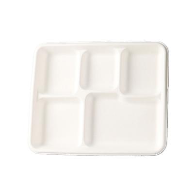 China Biodegradable Portable Biodegradable Food Meal Disposable Porcelain Tiffin Supplier Boxes for sale