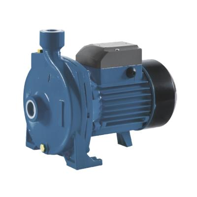 China Domestic Water Pump High Flow High Flow Electric Centrifugal Pumps for sale