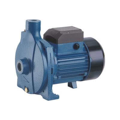 China Domestic Water Pump High Flow High Flow Electric Centrifugal Pumps for sale