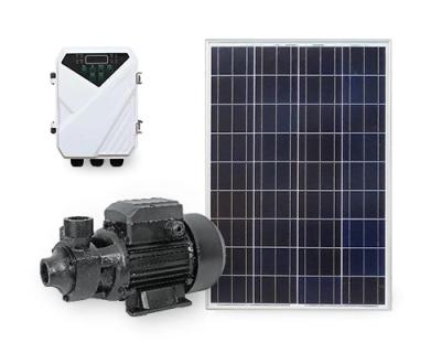 China Portable Solar Powered Solar Water Pump DC Surface Water Pump For Family Homes for sale