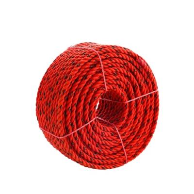 China Polyethylene Plastic 3 Strand Twisted Twine Packing Rope Bundling Rope for sale