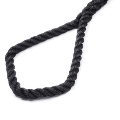 China Fish Farming/Fishing/General Using Twisted Rope 3 Strands Black Color Polyester Rope 12mm For Pelagic Fishing Bundling Rope for sale