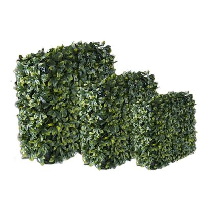 China Popular Direct Deal Indoor And Outdoor Dual Use Realistic Artificial Boxwood Panels Headge Grass Hedge Wall for sale