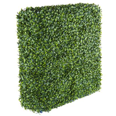 China Wholesale New PE Plastic Plastic Sheet Hedge Outdoor Artificial Boxwood Hedges Wall for sale