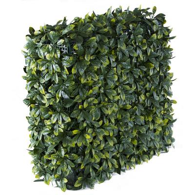 China Hot Countryside UV Proof Wall Barrier Artificial Green Amazon Boxwood Hedge For Garden Decoration for sale