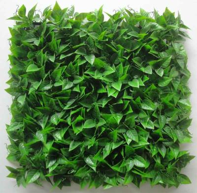 China Eco Friendly PE Artificial Boxwood Panels Hedge Plant 20X20 Backdrop Topiary Grass for sale