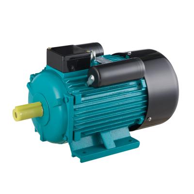 China AC 220V 1Hp YC Single Phase Waterproof High Speed ​​Asynchronous Electric Motor for sale