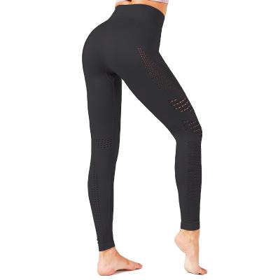 China Sale Factory Wholesale Price Breathable Sweat-Wicking Fitness Women Yoga Gaiters Warm Pants for sale