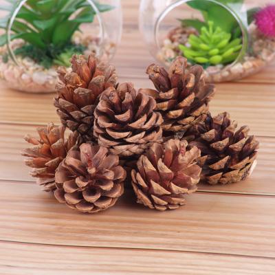 China New Year Wooden Christmas Tree Decoration Pinecone Pine Cones Christmas Decoration Holiday Decorations Ornaments Pine Cone for sale