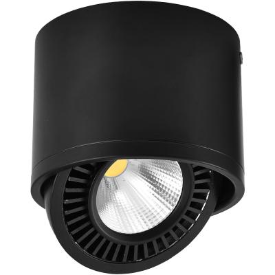 China COB Modern Outdoor Mounted LED Downlight 360 Degree Rotating LED Spot Light Ceiling 5w/7w/9w/15w Lamp for sale