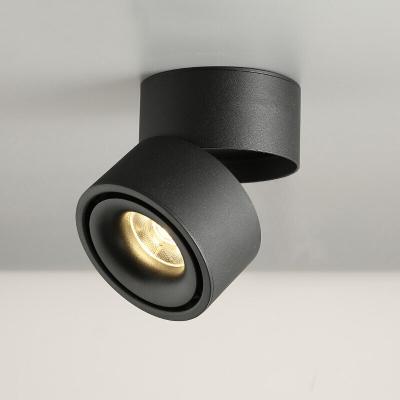 China Dimmable COB LED Downlight LED Ceiling Lamp 10w Outdoor Mounted Foldable Rotatable Spot Light for sale