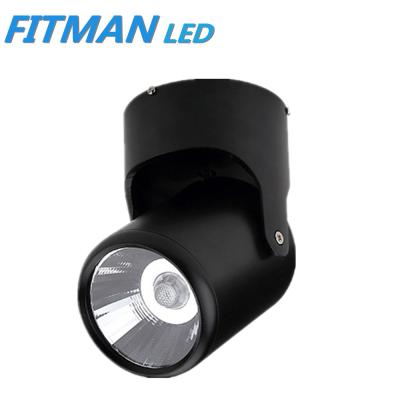 China 15wtrack light led for indoor outdoor mounted lighting CRI80 track rail cob led track light 15w for shop show for sale