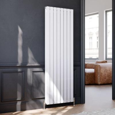 China ST.Lawrence Water Heater Anthracite Dual Panel Designer High Quality Energy Saving Beaten Sale Vertical Radiator Used for Room Heating for sale