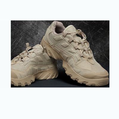 China Adult Non Slip And Wear Resistant Breathable Special Forces Leather Sport Hiking Shoes For Men for sale