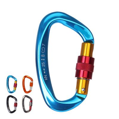 China oil & Outdoor Carabiner D Type Key Hook Gas Lock Carabiners Equipment Security Elevating Lock for sale