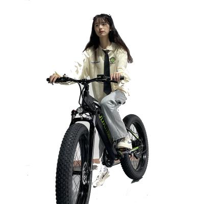 China New model steel 26 inch fat tire electric bike, rear wheel electric bicycle, china electric bicycle for sale