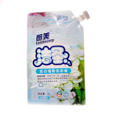 China Wholesale Custom Packaging Moisture Proof Hand Wash Liquid Shampoo Pouch Pet Lotion Spout Plastic Pouches for sale