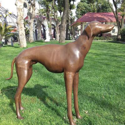 China Europe Home Craft Or Indoor Metal Decoration Life Size Bronze Greyhound Dog Statue for sale